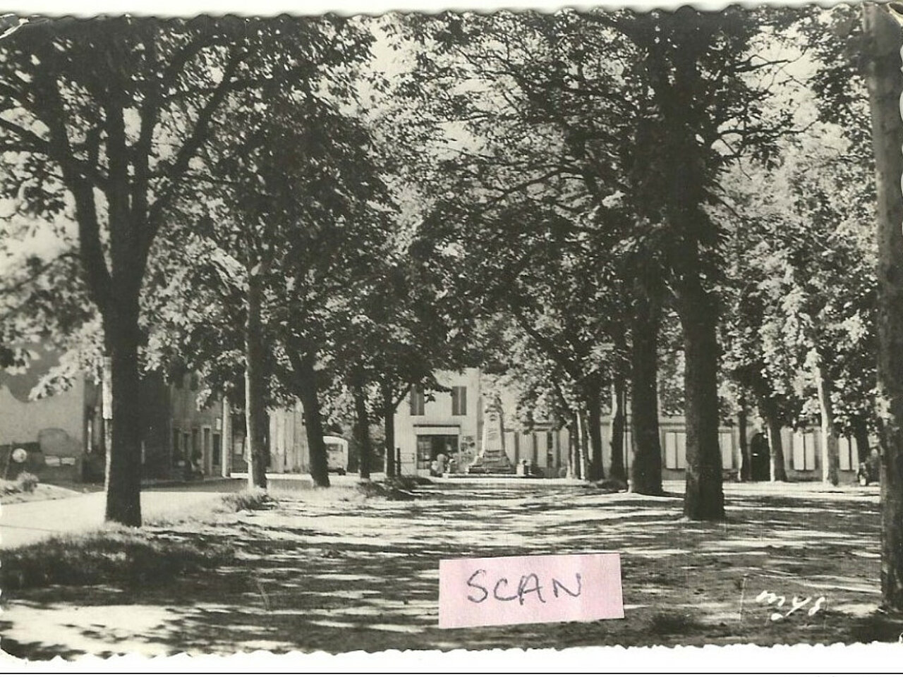place arborée à côté de l'église